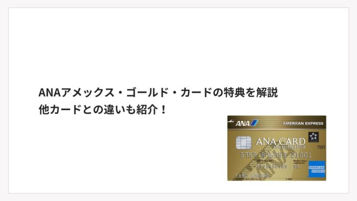 ANAアメックス・ゴールド・カードの特典を解説｜他カードとの違いも紹介！