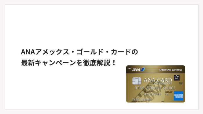 ANAアメックス・ゴールド・カードの最新キャンペーンを徹底解説！