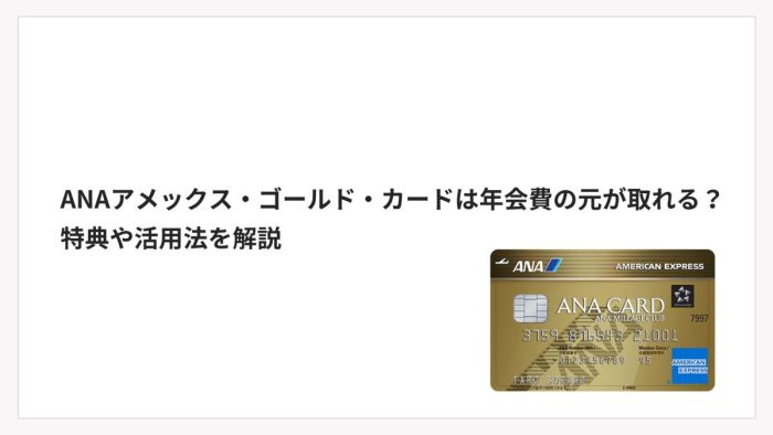 ANAアメックス・ゴールド・カードは年会費の元が取れる？特典や活用法を解説